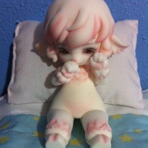 Meet your Posher, Charlotte